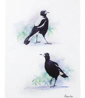 Maxwell & Williams Katherine Castle Bird Life Tea Towel Magpie on Sale