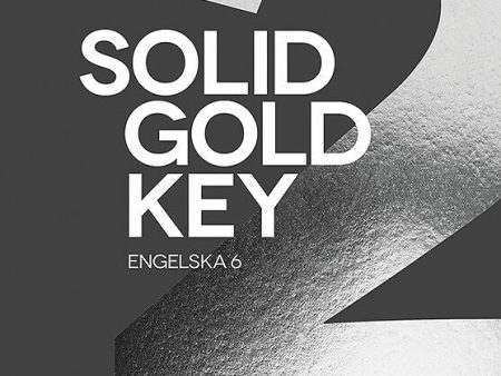 Solid Gold 2 Key Fashion