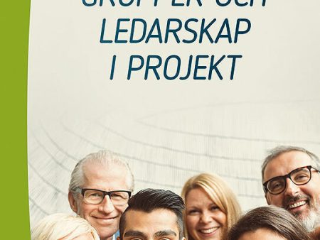 Individer, grupper och ledarskap i projekt on Sale