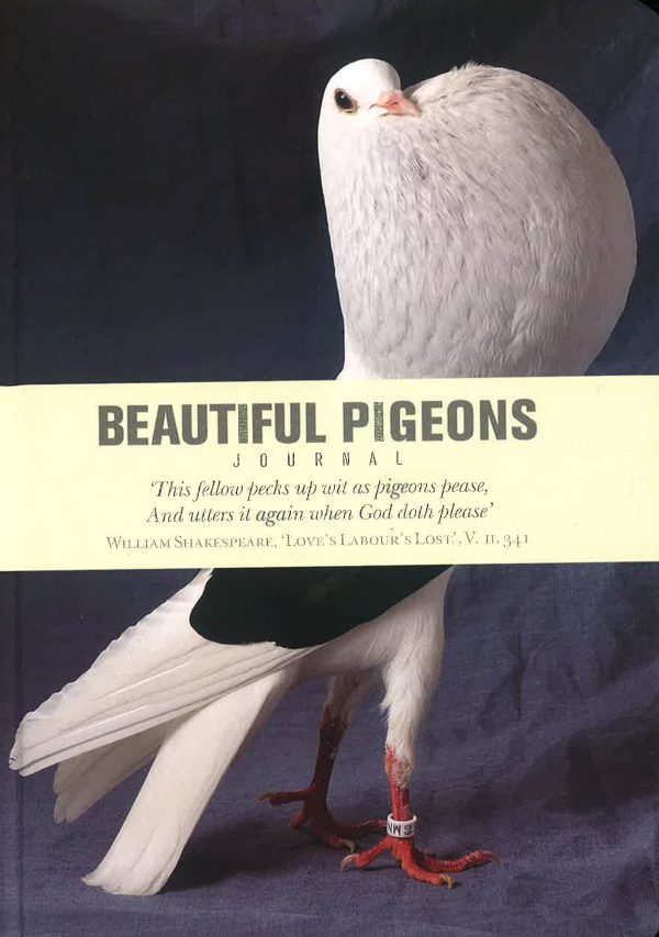 Notebook: Beautiful Pigeons Journal Online Sale