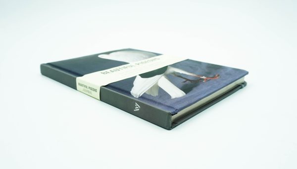 Notebook: Beautiful Pigeons Journal Online Sale